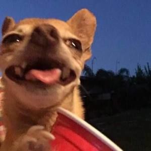 Meet your Posher, Jose abraham